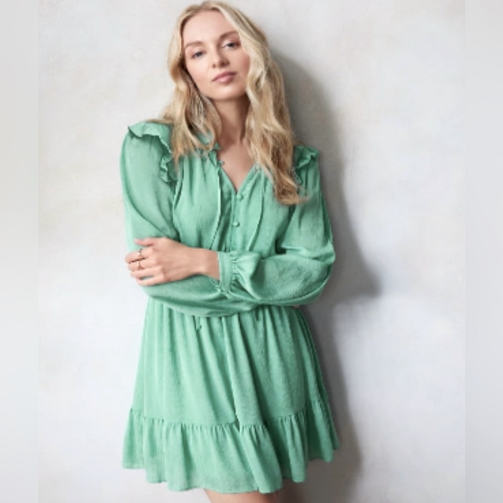 LC Lauren Conrad Ruffle Neck Button Front Dress NWT